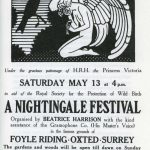 Black and white poster advertising the Nightingale Festival at Foyle Riding depicting an angel holding an injured nightingale