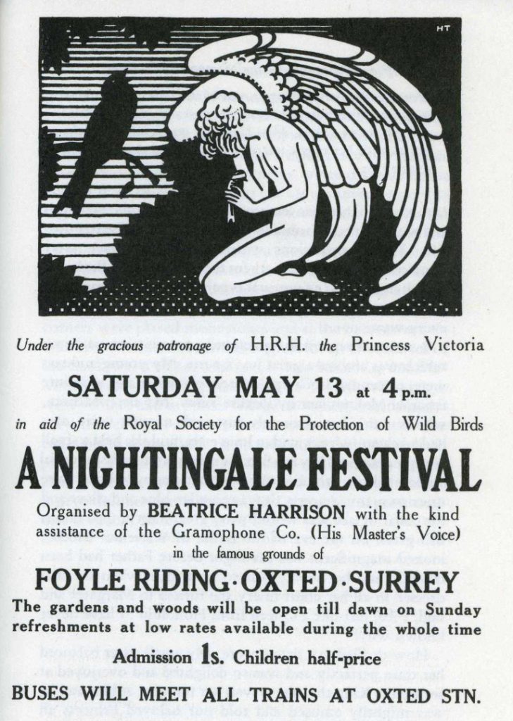 Black and white poster advertising the Nightingale Festival at Foyle Riding depicting an angel holding an injured nightingale