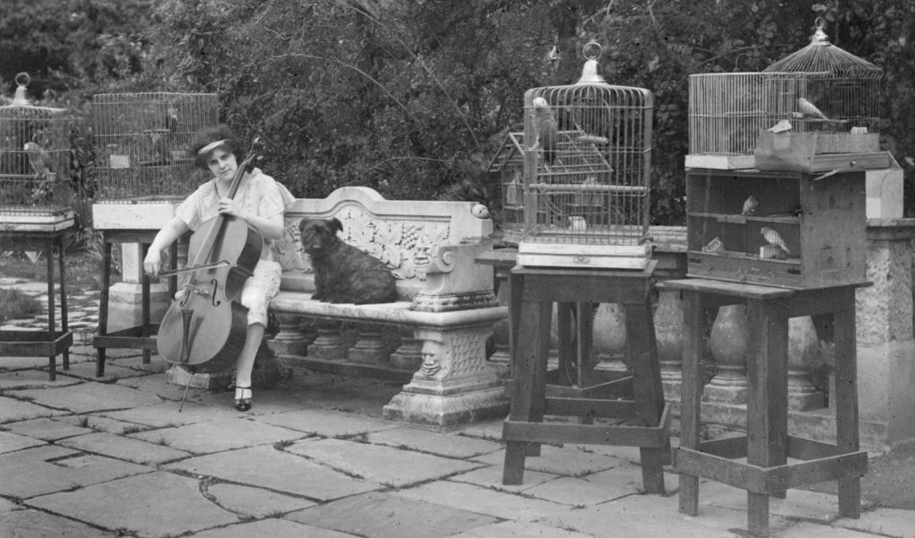 Black and white photograph of Beatrice Harrison playing the cello in her garden seated next to a dog and surrounded by pet birds in cages