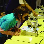 Colour photograph of a young girl using a microscope
