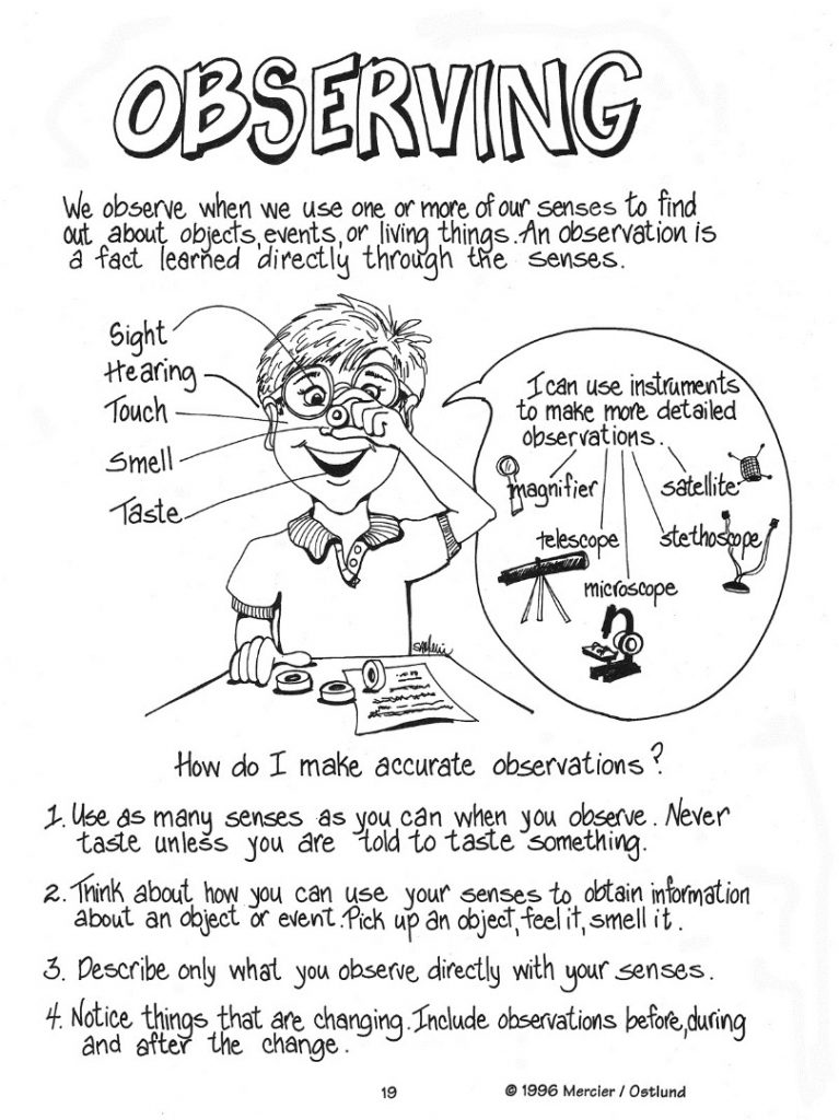 Example of a worksheet for school children entitled Observing