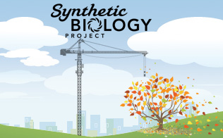 Computer graphic showing a crane and a tree against a blue sky with the title Synthetic Biology Project