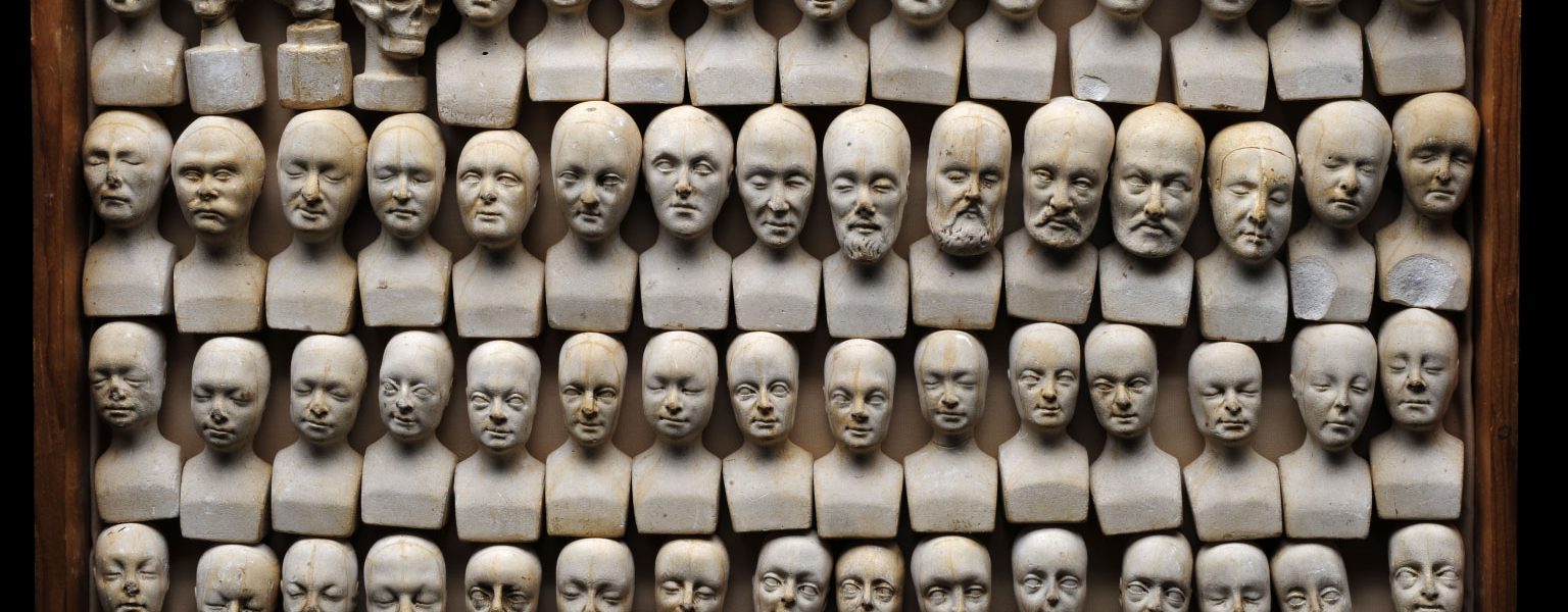 60 miniature phrenology busts displayed in wooden case