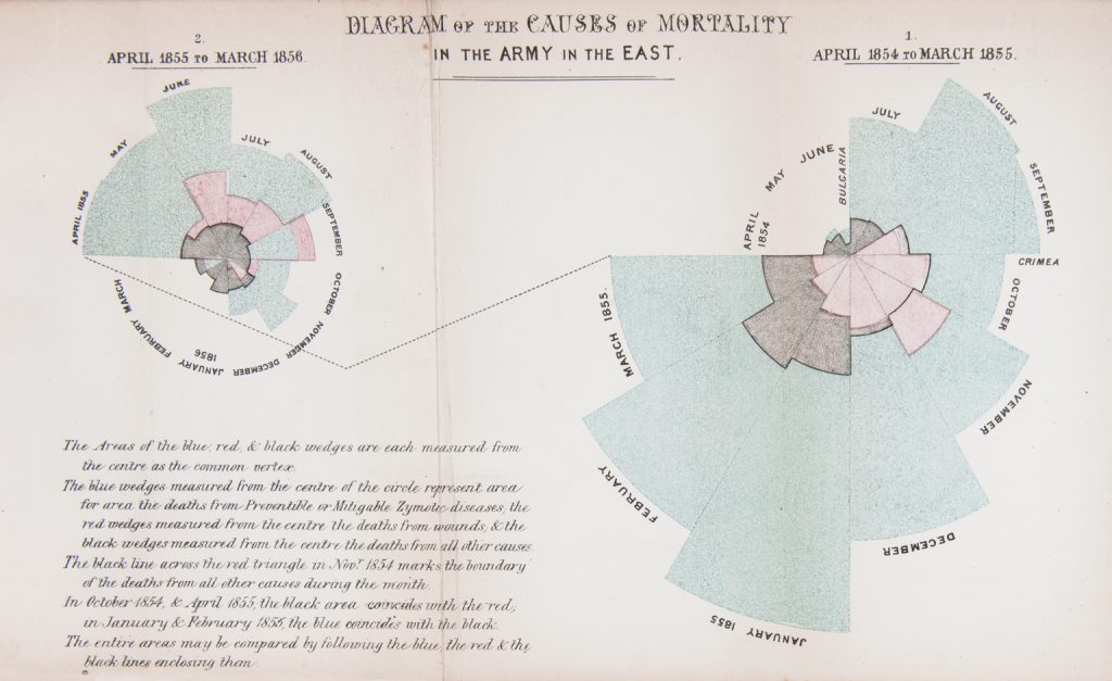 Pen and ink rose diagram of the causes of mortality in the army in the east