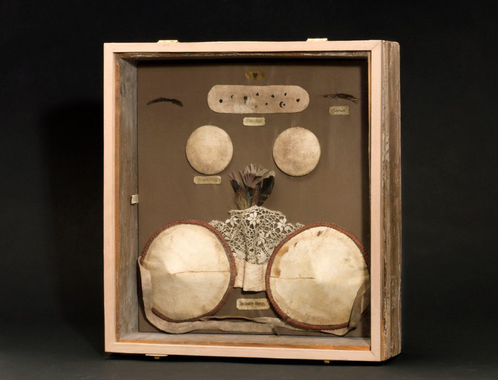 Glass display case containing various nineteenth century cosmetic devices two cheek plumpers eyebrows patches and two breast pads