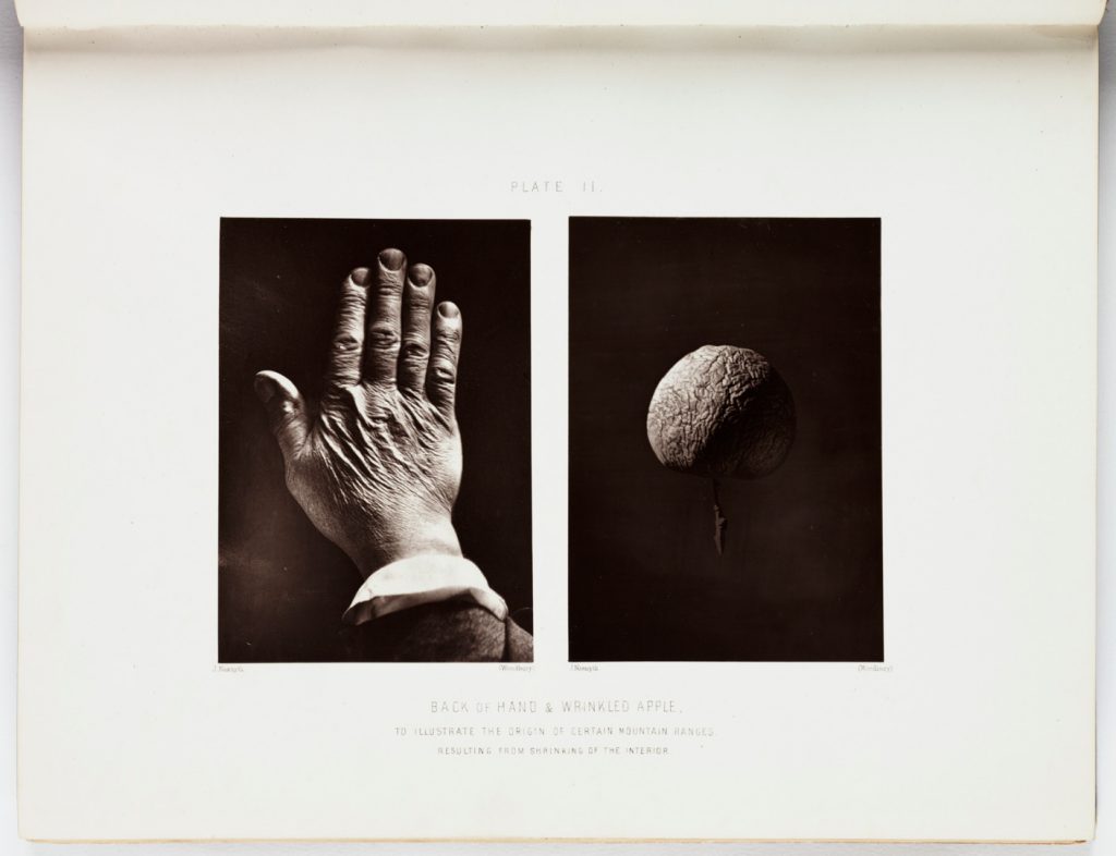 Two images on the same page in a book. One shows the back of an elderly hand the other a wrinkled apple to illustrate the origin of certain mountain ranges resulting from shrinking of the interior