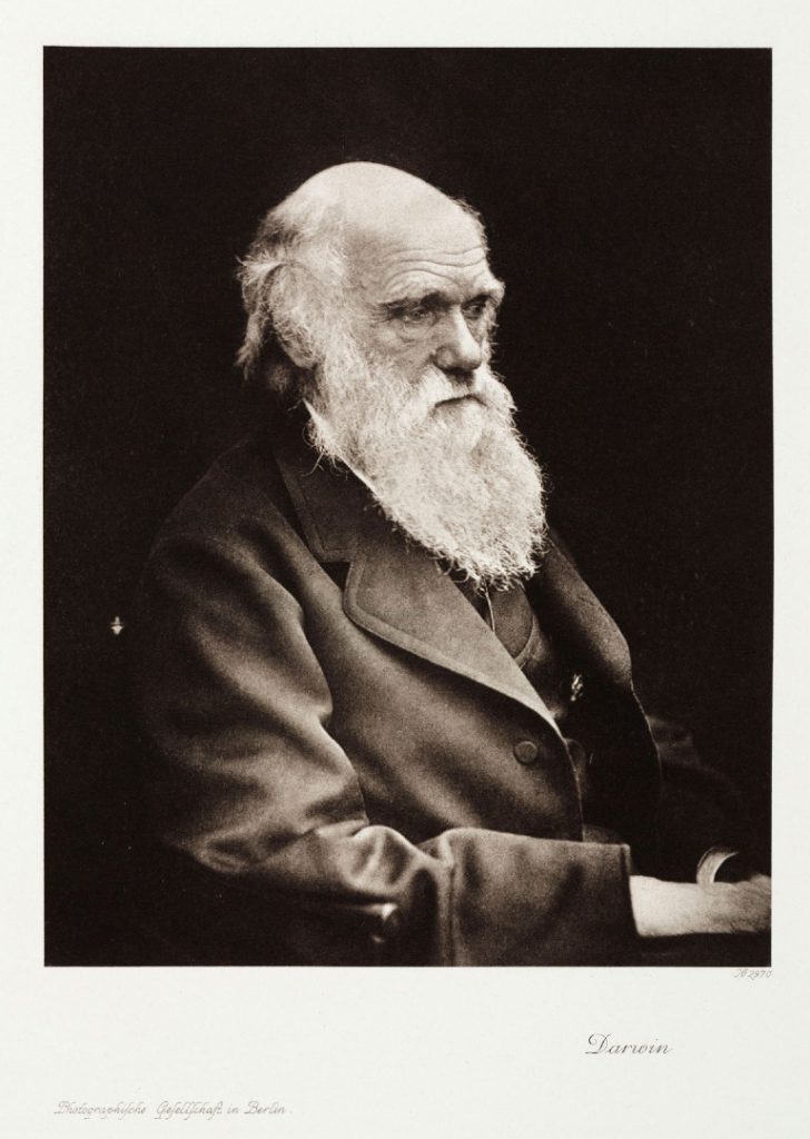 A black and white photograph of Charles Darwin in his later years. Pictured seated