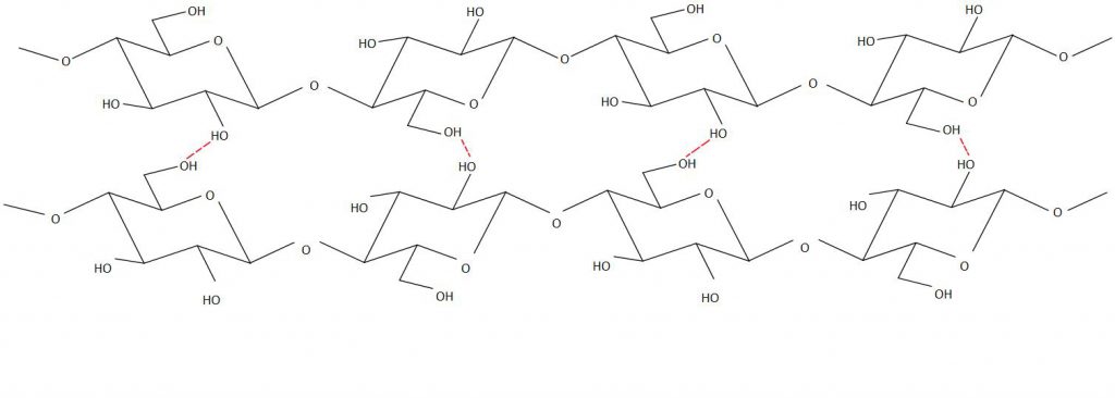 Line drawing showing the molecular structure of two cellulose polymers