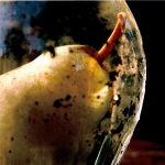 Still image from a colour video showing a pear sitting within a glass container