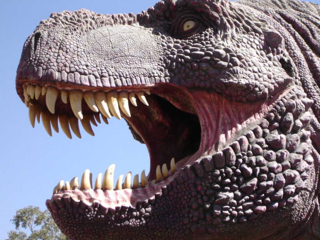 Large model of the head of Tyrannosaurus Rex