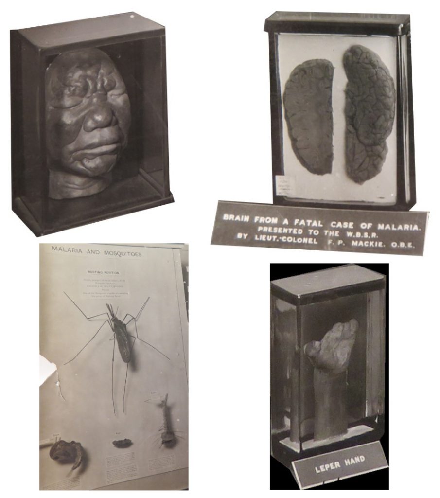 Composition of various objects featured in a Wellcome exhibition on Malaria