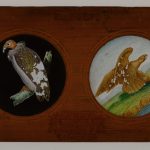 A Copper-Plate Slider by Carpenter & Westley showing elements of Zoology birds condor fulvous vulture golden eagle and barn owl