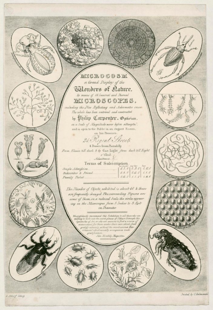 A lithographic advertisement for Philip Carpenters Grand Microcosm from 1827