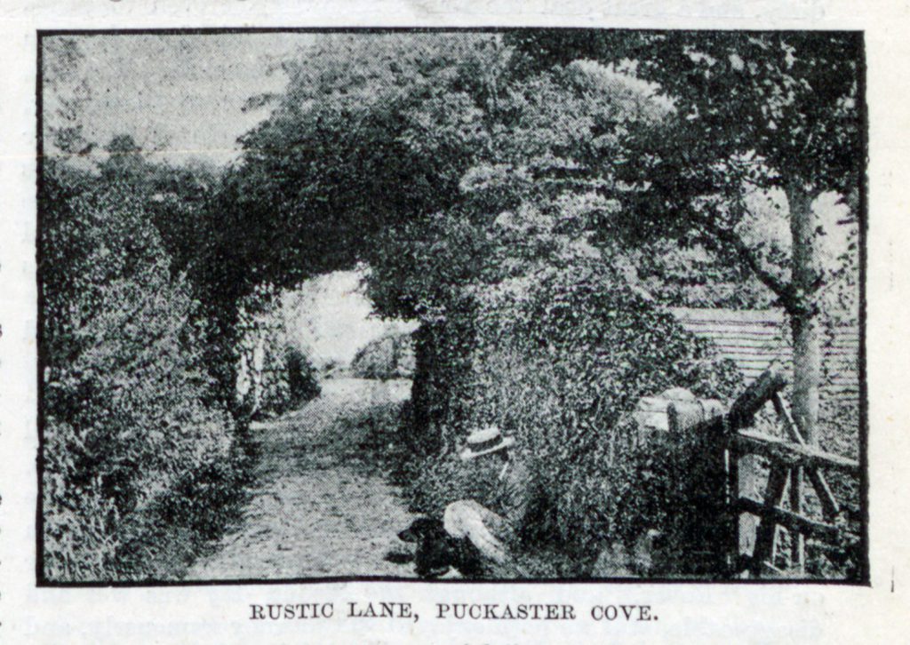 Black and white photograph of a rural lane captioned Rustic Lane Puckaster Cove