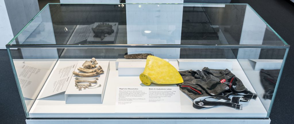 Colour photograph of museum objects on display in a glass case