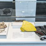 Colour photograph of museum objects on display in a glass case