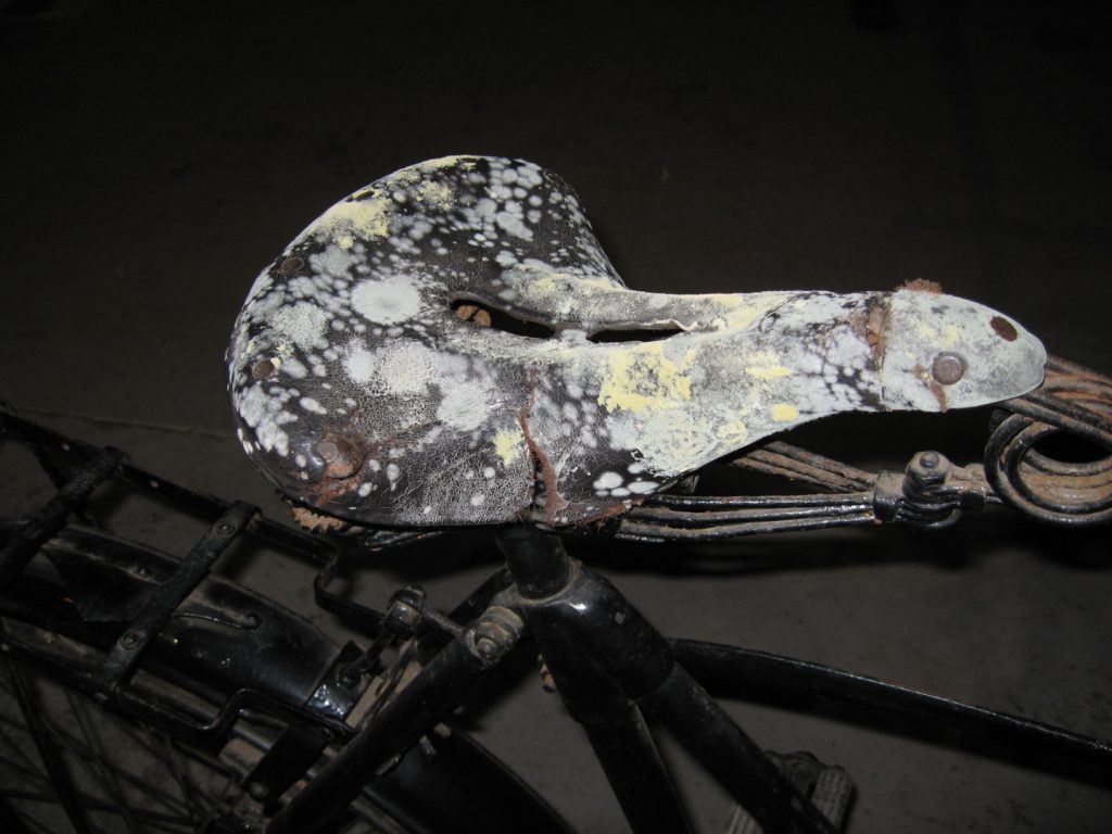 Colour photograph of an old bicycle showing mould groth on the leather seat