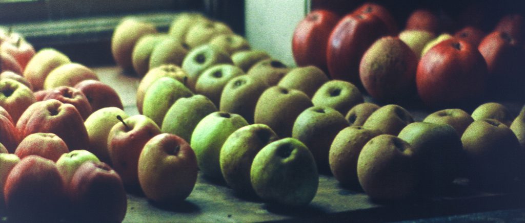 Film still showing colour image of apples on display