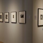 Colour photograph of a section of the Revelations experiments in photography exhibition at the National Media Museum in Bradford