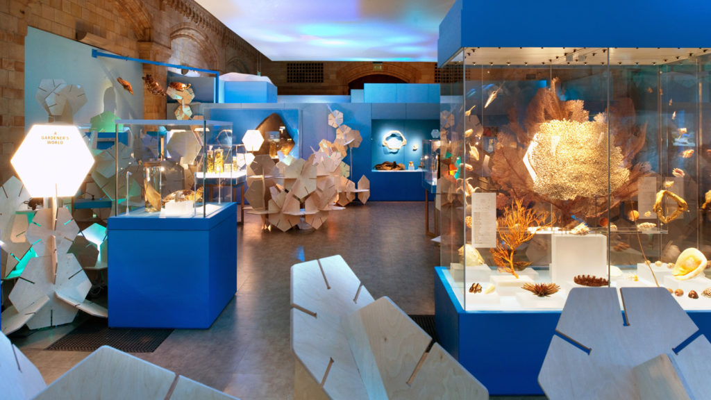 Colour photograph of a coral reef exhibition in the Natural History Museum