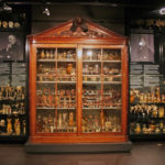Colour photograph of an anatomical specimens display case