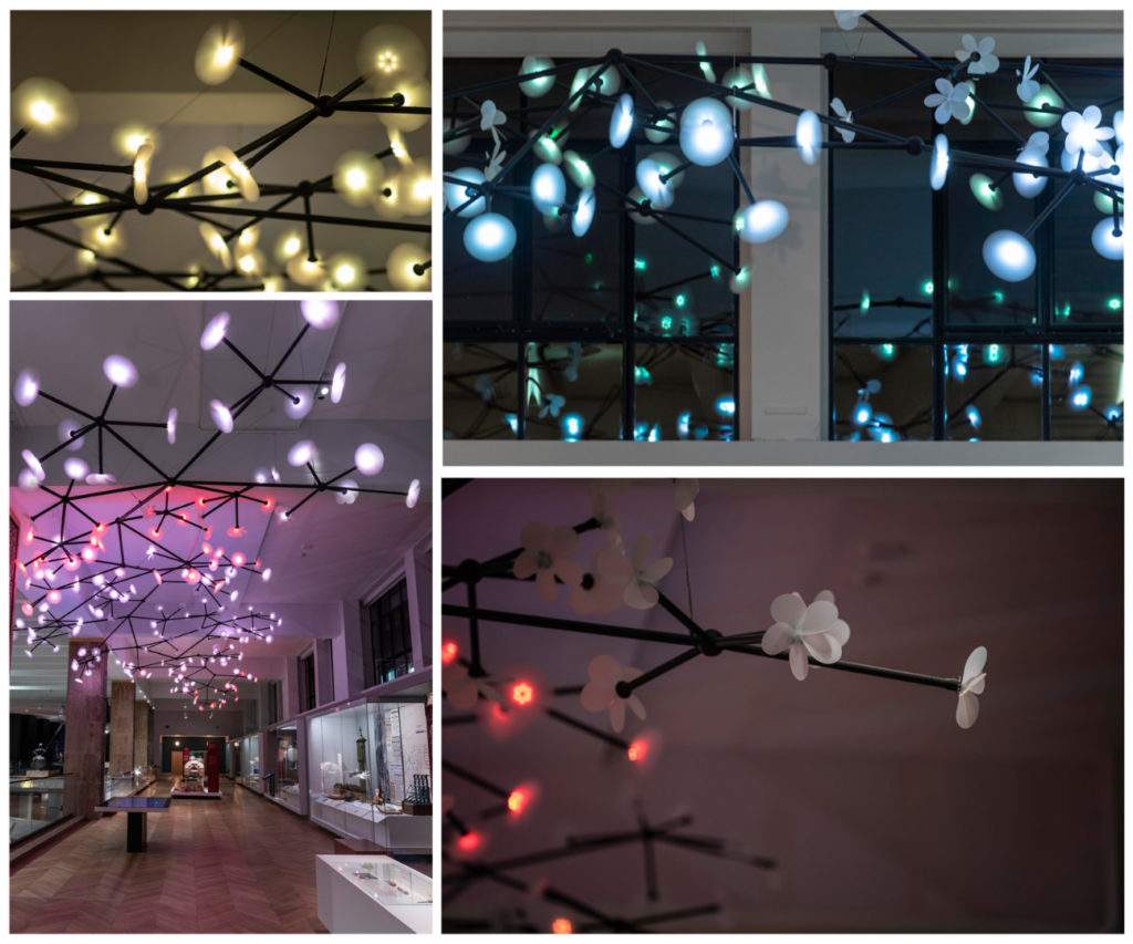 Colour photographs of the Bloom light installation