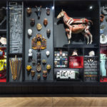 Colour photograph of the cabinet of curiosities display case