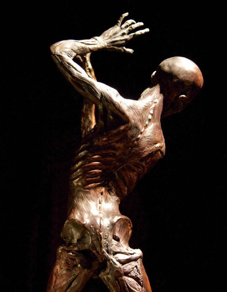 Colour photograph of a sculpture of a human figure without skin