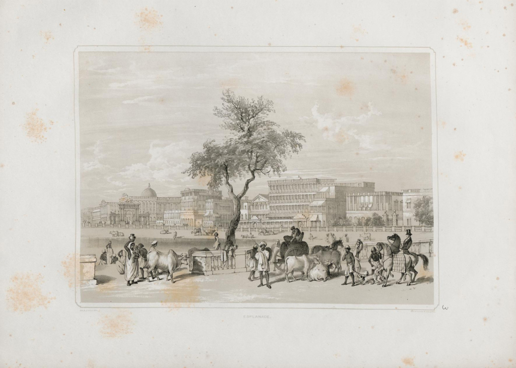 Illustrated scene of Calcutta in the early nineteenth century