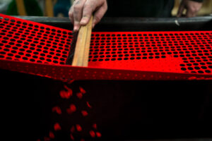 Photograph of piano felts being brushed out