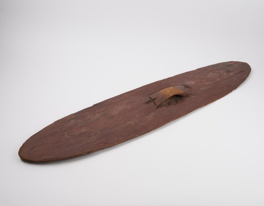 Colour photograph of a traditional Australian wooden shield
