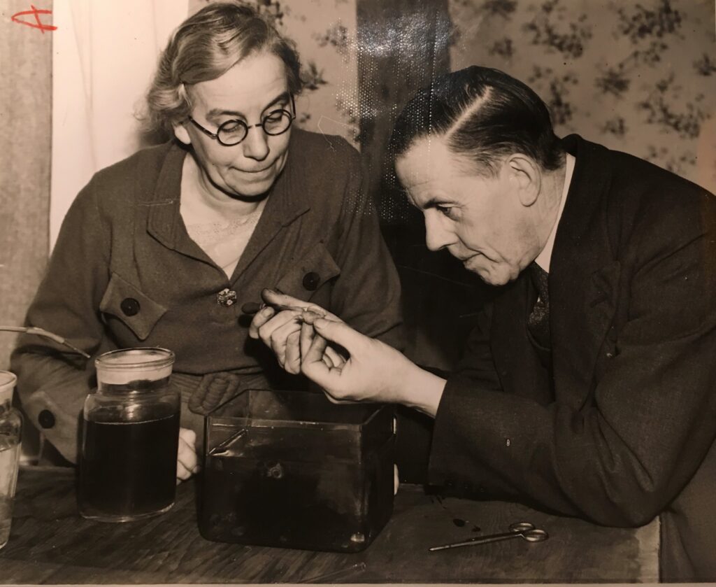 Sepia photograph of Kate and Percy Smith working together