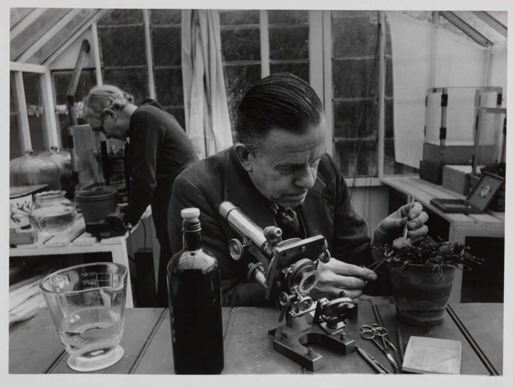 Monochrome photograph of Kate and Percy Smith working in a greenhouse laboratory