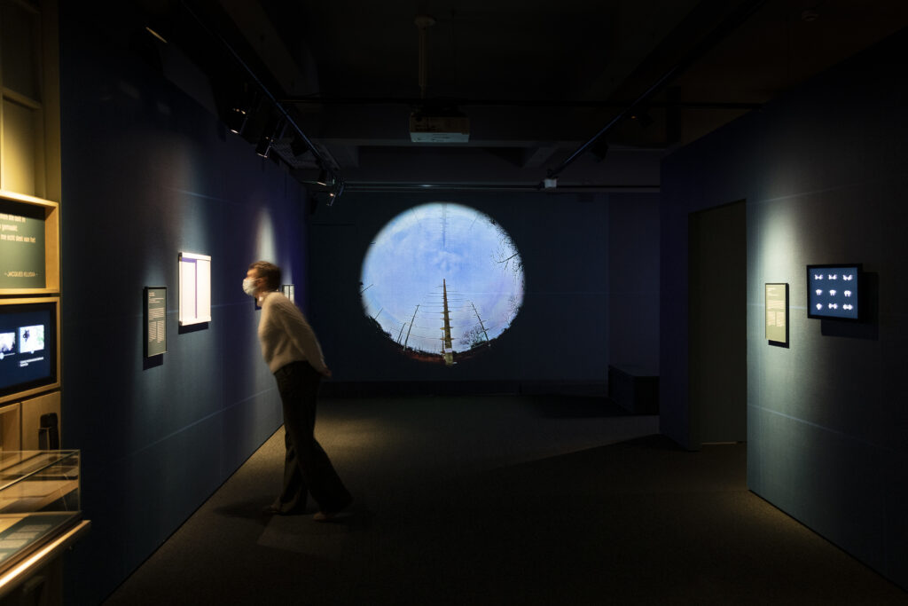 Colour photograph of the Atmospheres art installation in an exhibition