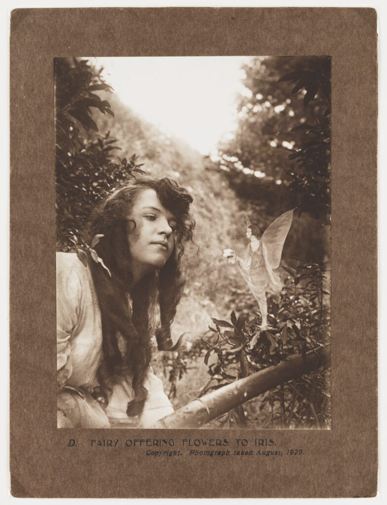 Photograph of a young girl in a white dress looking at a fairy, who is offering her a few flowers. The fairy seems to be standing on a partially fallen tree. Behind is a hillside. The photograph has been pasted to brown cardboard, on which is printed 'D. Fairy Offering Flowers to Iris'