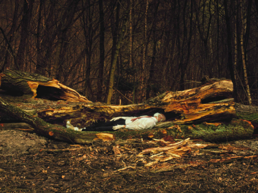 Image of a fragmented fallen tree, in which a man in a white shirt and black trousers lies as though asleep or unconscious. He wears a surgical mask. In the background is a dark forest.