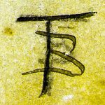 A monogram made of the letters T and B