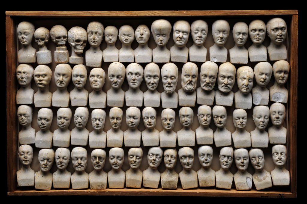 60 miniature phrenology busts displayed in wooden case