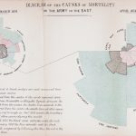 Pen and ink rose diagram of the causes of mortality in the army in the east