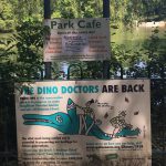 Colour photograph of a poster informing public that conservation work will be carried out on the concrete dinosaurs