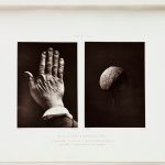 Two images on the same page in a book. One shows the back of an elderly hand the other a wrinkled apple to illustrate the origin of certain mountain ranges resulting from shrinking of the interior