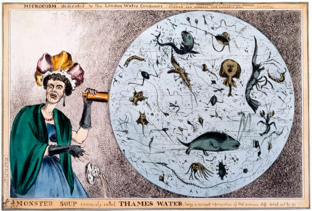 A colour engraving of a shocked woman of the early 1830s looking at the microscopic life present in a sample of Thames water