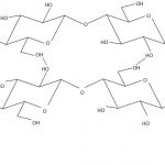 Line drawing showing the molecular structure of two cellulose polymers