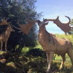 Colour photograph of two concrete Great Irish Elk models from the nineteenth century