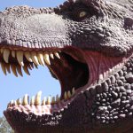 Large model of the head of Tyrannosaurus Rex