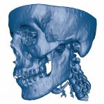 Computer generated three dimensional map of the human skull