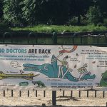 Colour photograph of a poster informing public that conservation work will be carried out on the concrete dinosaurs