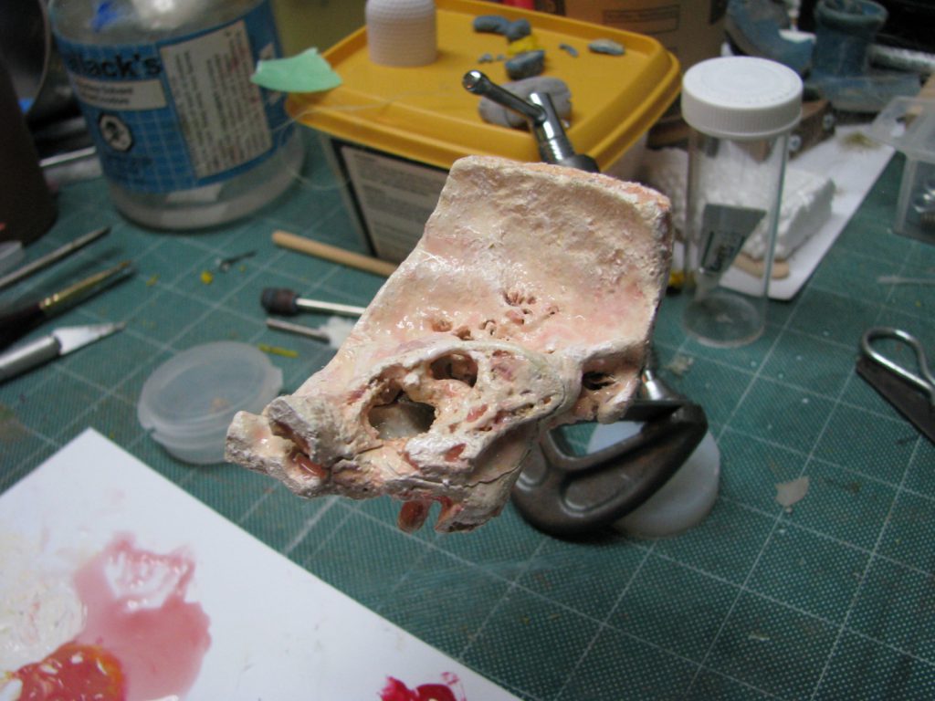 Colour photograph of a 3d printed artificial ear specimen