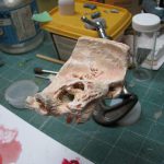 Colour photograph of a 3d printed artificial ear specimen