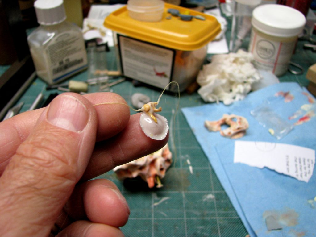 colour photograph of 3d printed ossicle bones attached to a silicon tympanic membrane